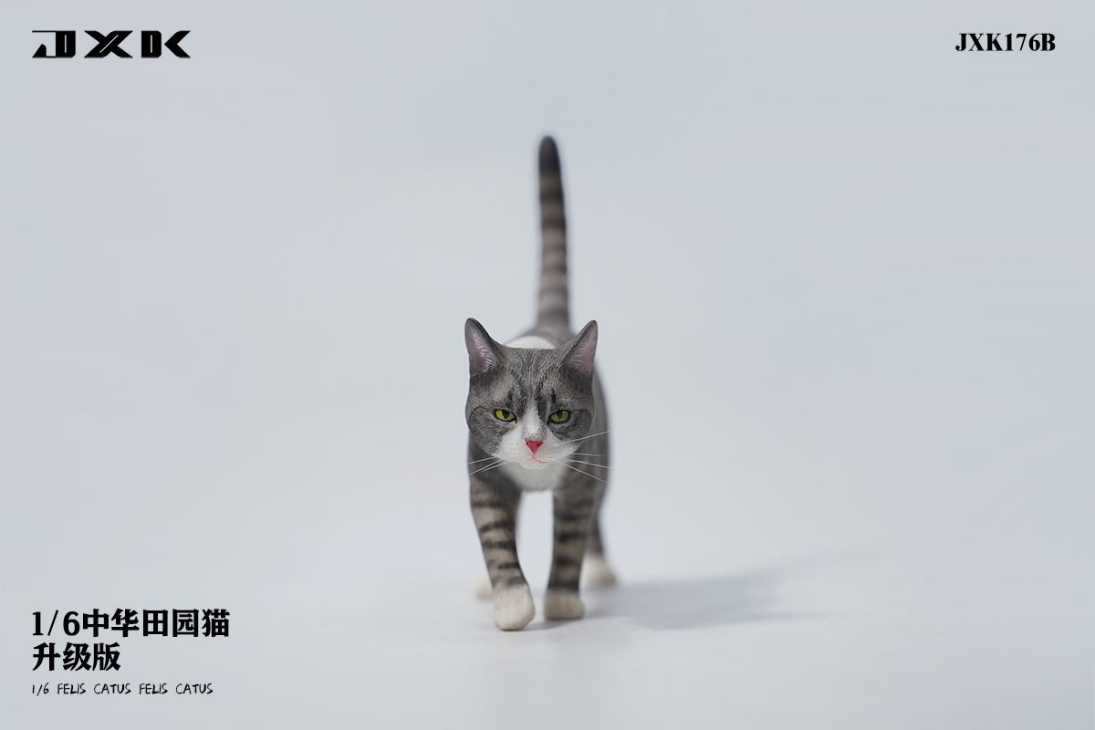 Chinese pastoral cat upgraded version 1/6