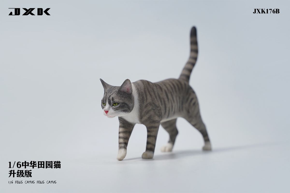 Chinese pastoral cat upgraded version 1/6