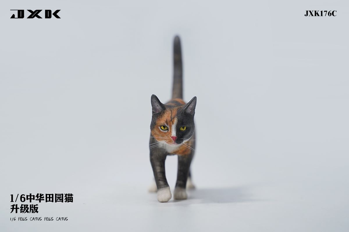 Chinese pastoral cat upgraded version 1/6