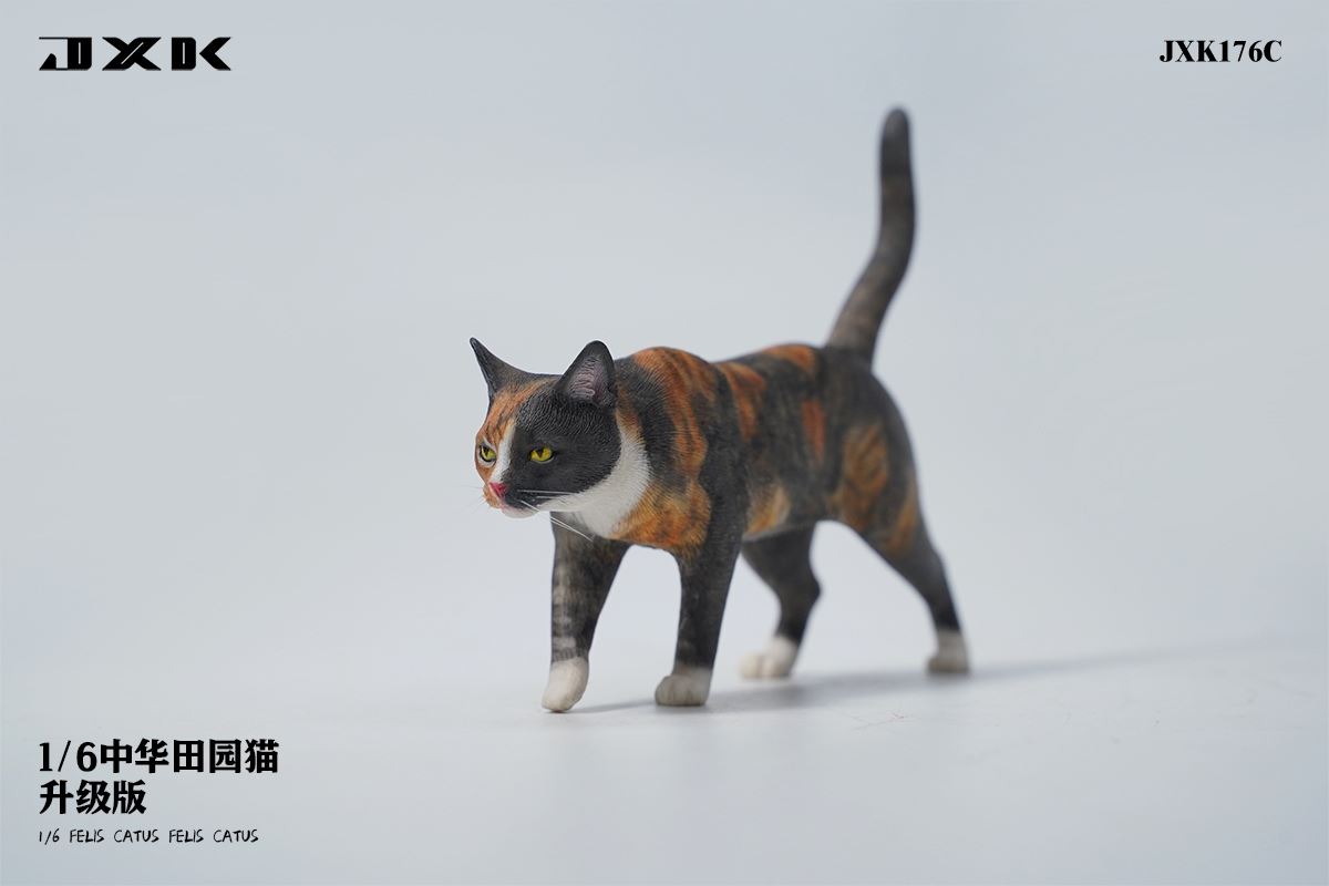Chinese pastoral cat upgraded version 1/6