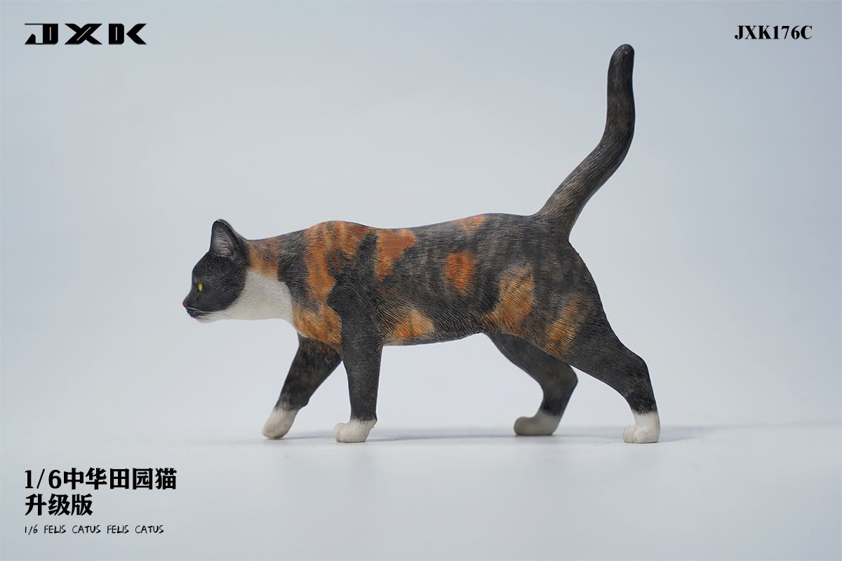 Chinese pastoral cat upgraded version 1/6
