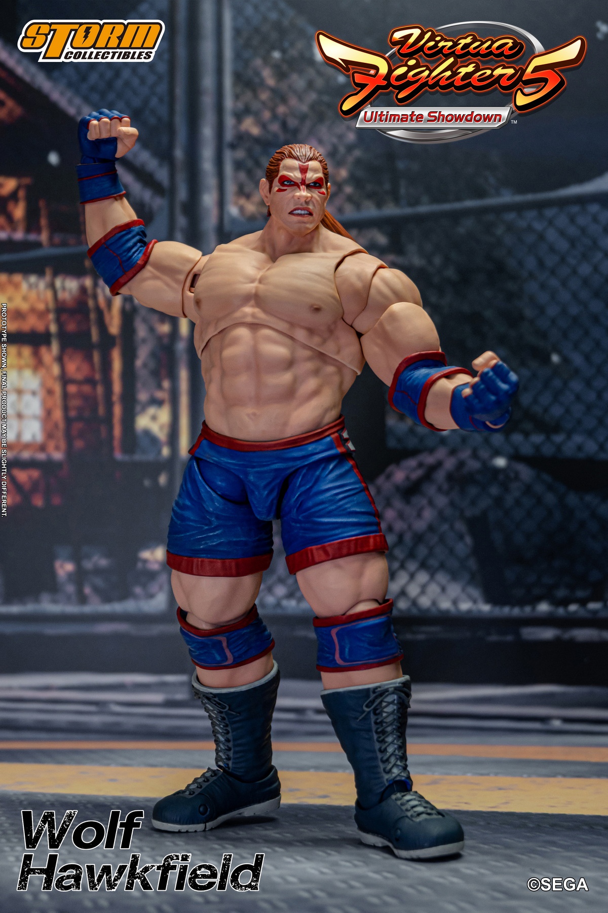Virtua Fighter 5 Wolf Hawkfield