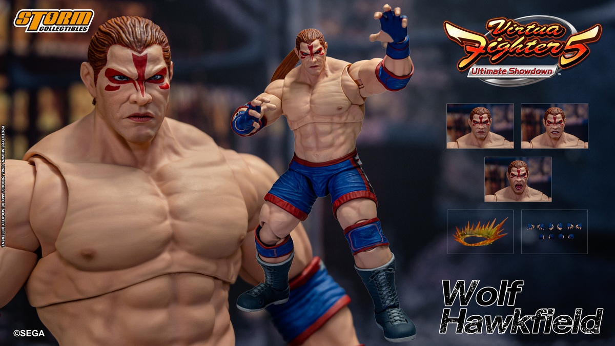 Virtua Fighter 5 Wolf Hawkfield