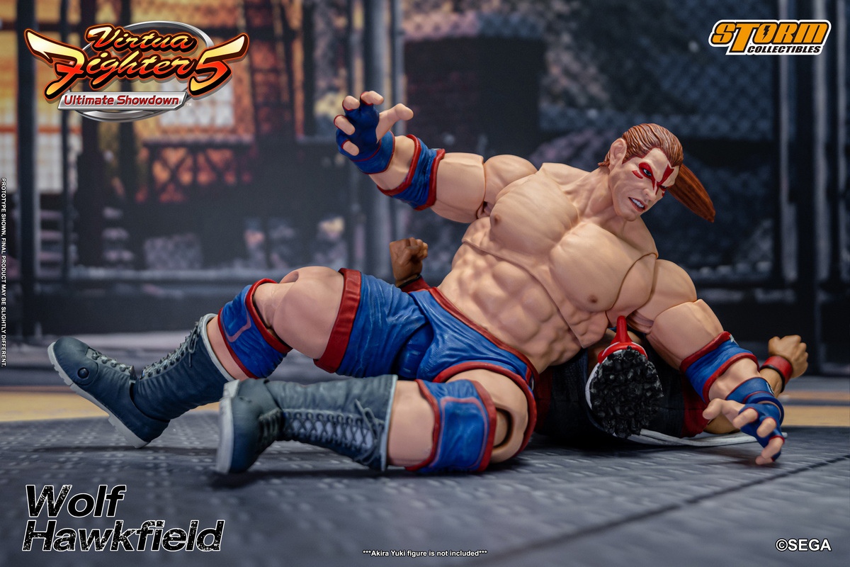 Virtua Fighter 5 Wolf Hawkfield