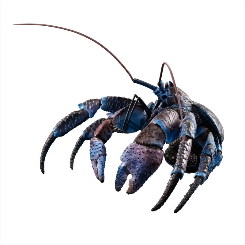 Coconut Crab