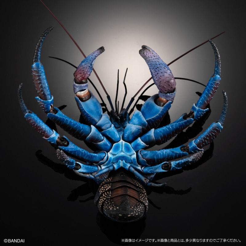 Coconut Crab