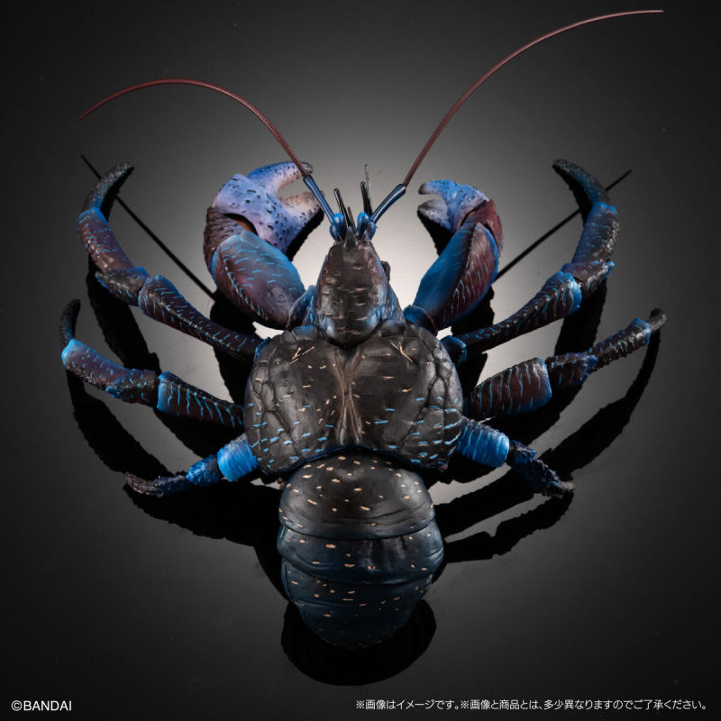 Coconut Crab