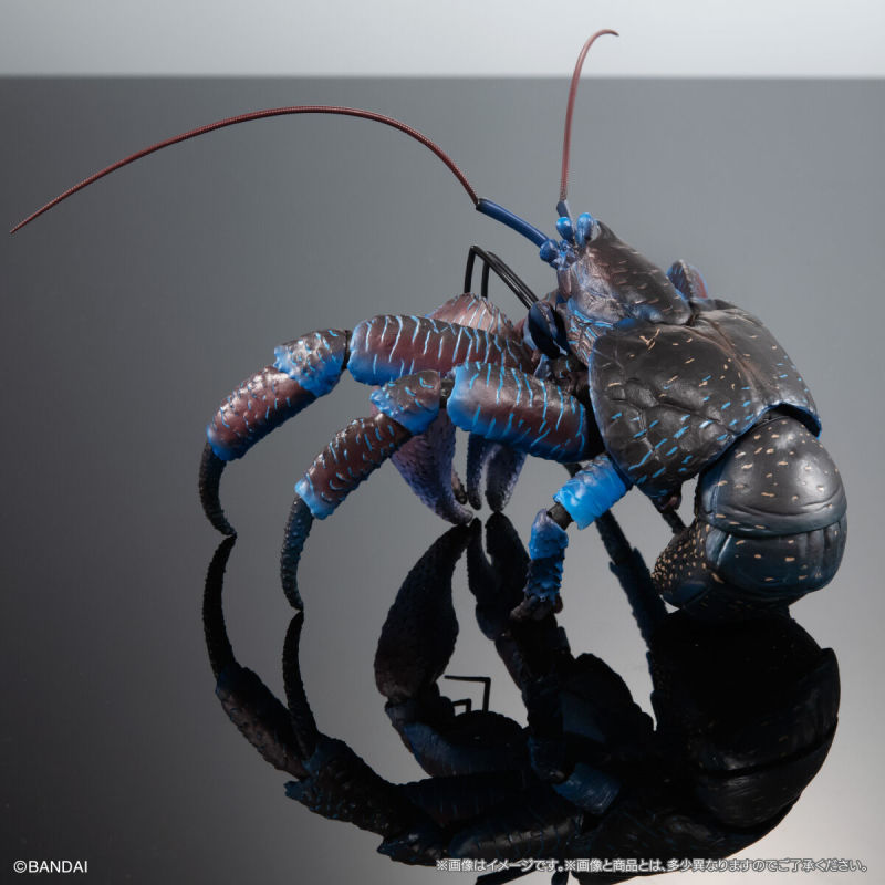Coconut Crab