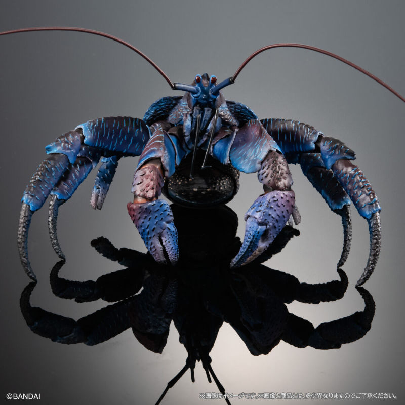 Coconut Crab