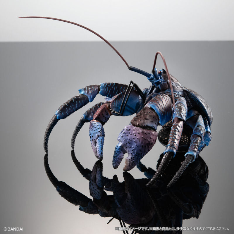Coconut Crab