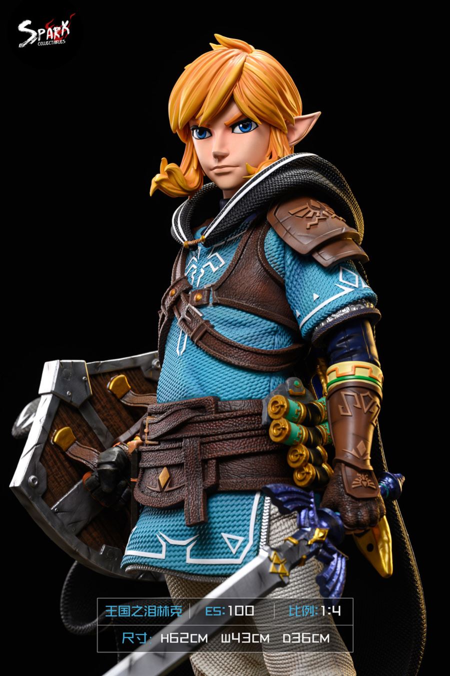 Tears of the Kingdom Link 1/4