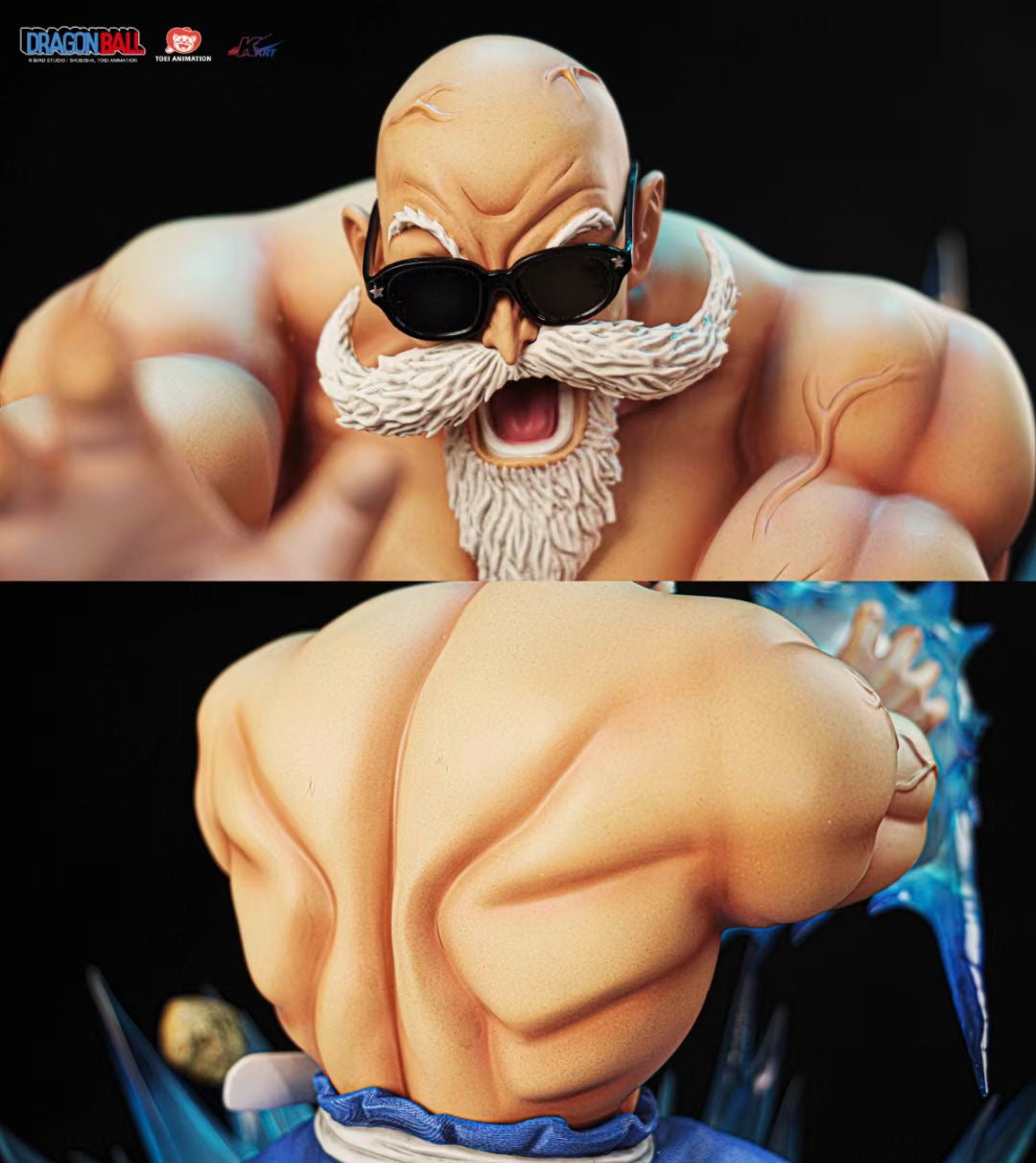 Dragon Ball Turtle Sage Master Roshi