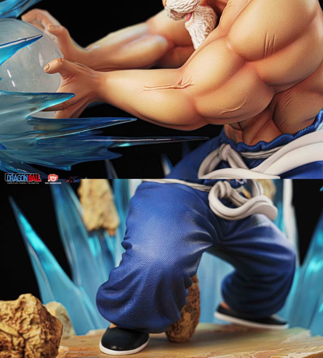 Dragon Ball Turtle Sage Master Roshi