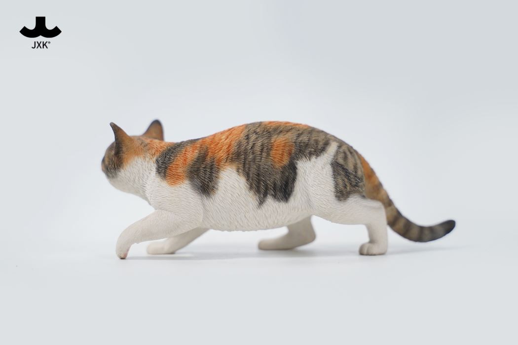 Felis Catus 3.0 1/6