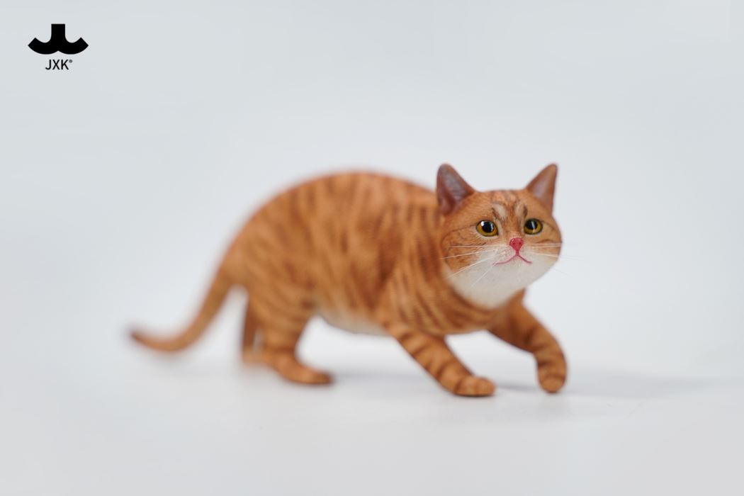 Felis Catus 3.0 1/6