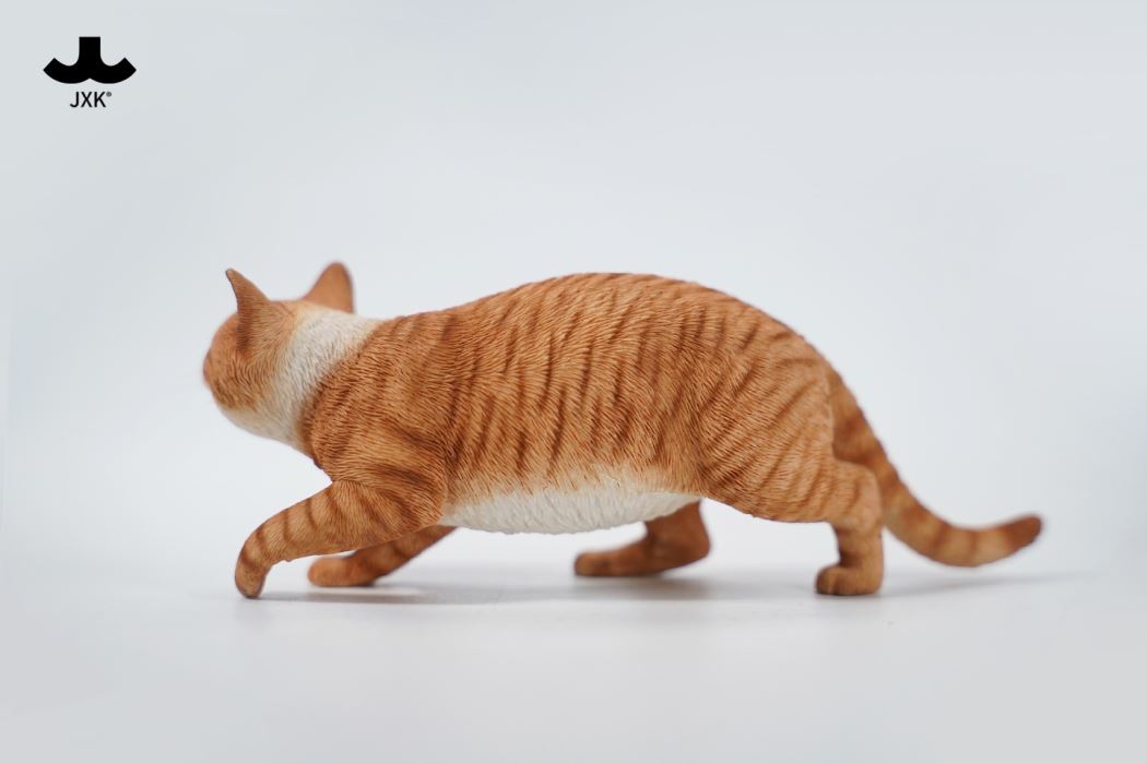 Felis Catus 3.0 1/6