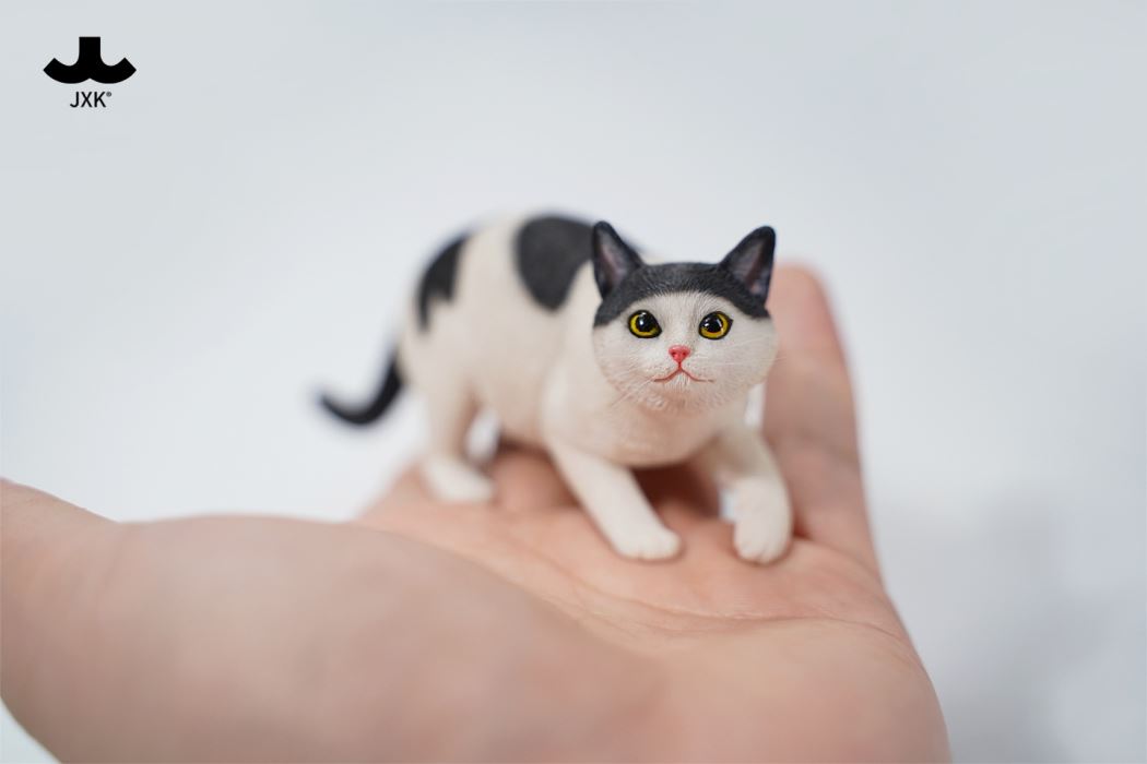 Felis Catus 3.0 1/6