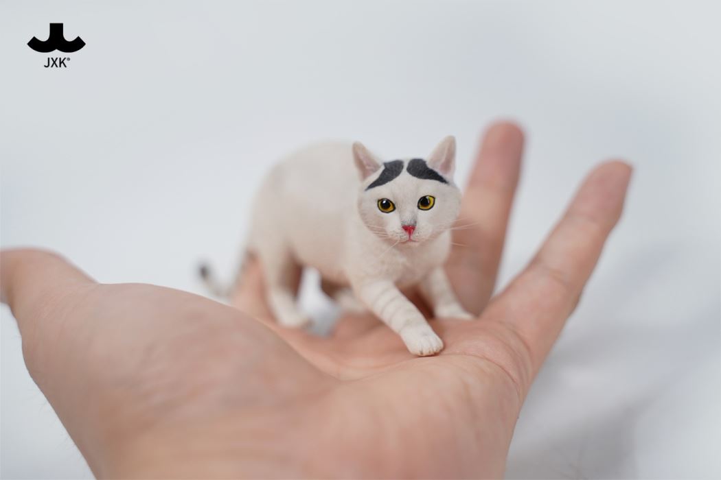 Felis Catus 3.0 1/6