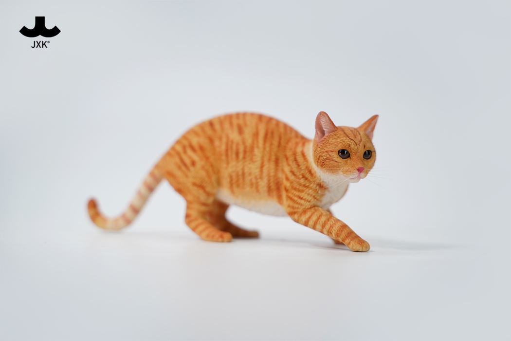 Felis Catus 3.0 1/6