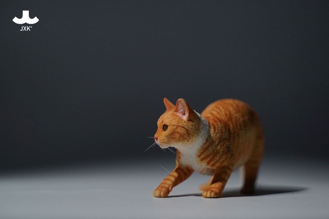 Felis Catus 3.0 1/6