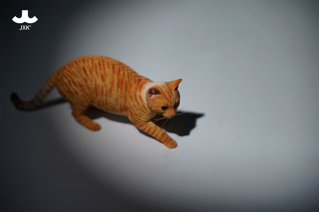Felis Catus 3.0 1/6