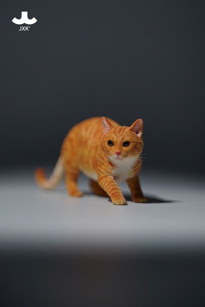 Felis Catus 3.0 1/6