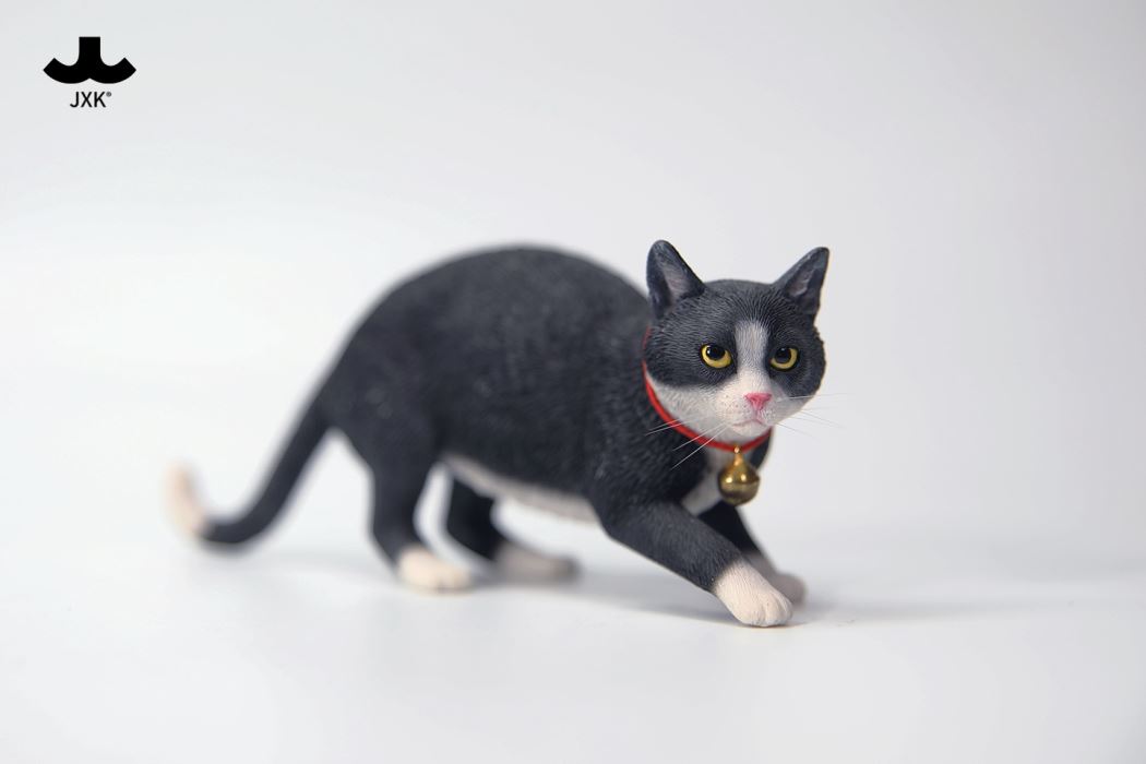 Felis Catus 3.0 1/6