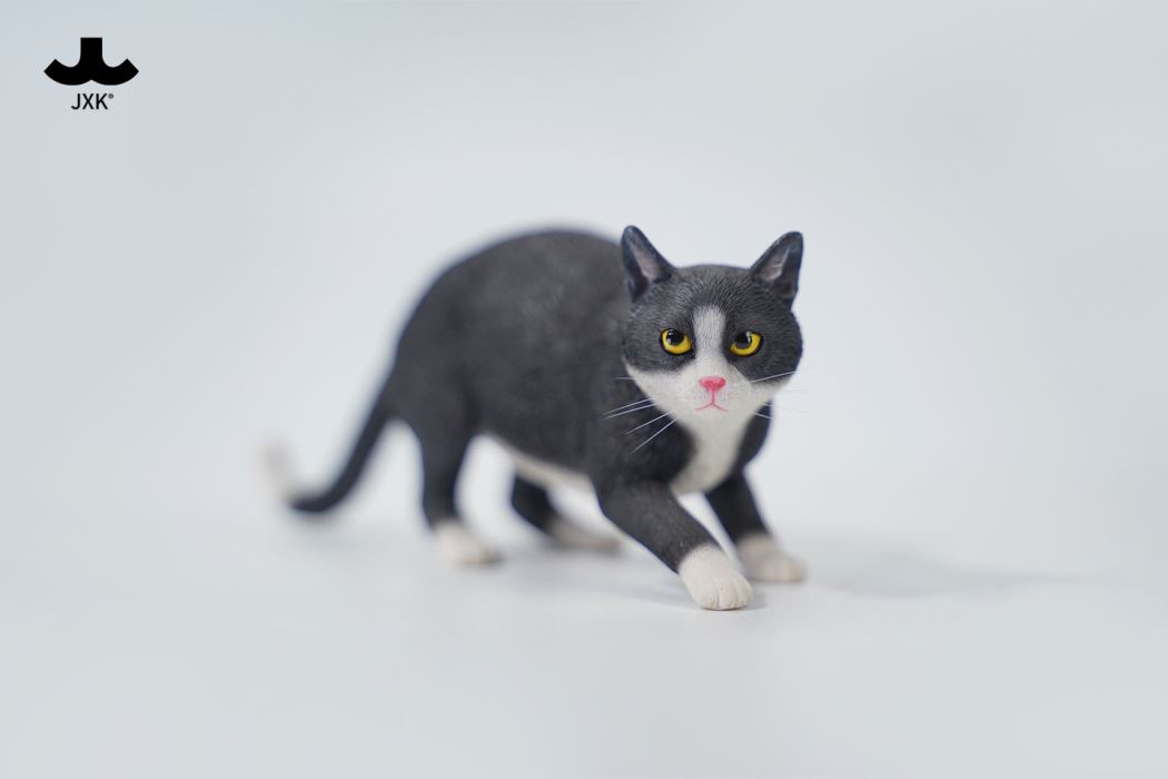 Felis Catus 3.0 1/6