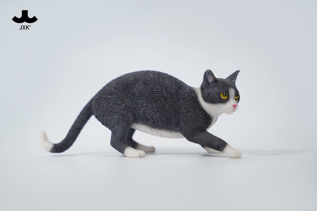 Felis Catus 3.0 1/6