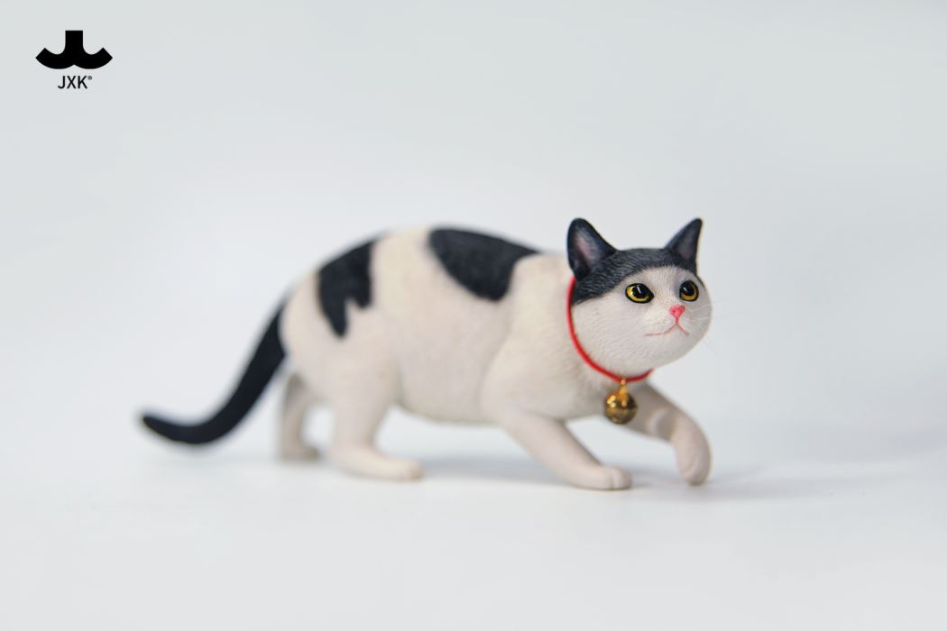 Felis Catus 3.0 1/6