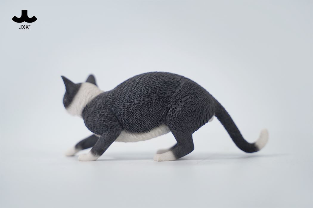 Felis Catus 3.0 1/6