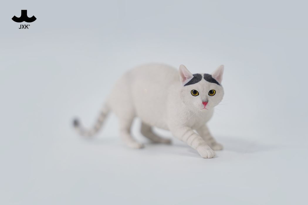 Felis Catus 3.0 1/6