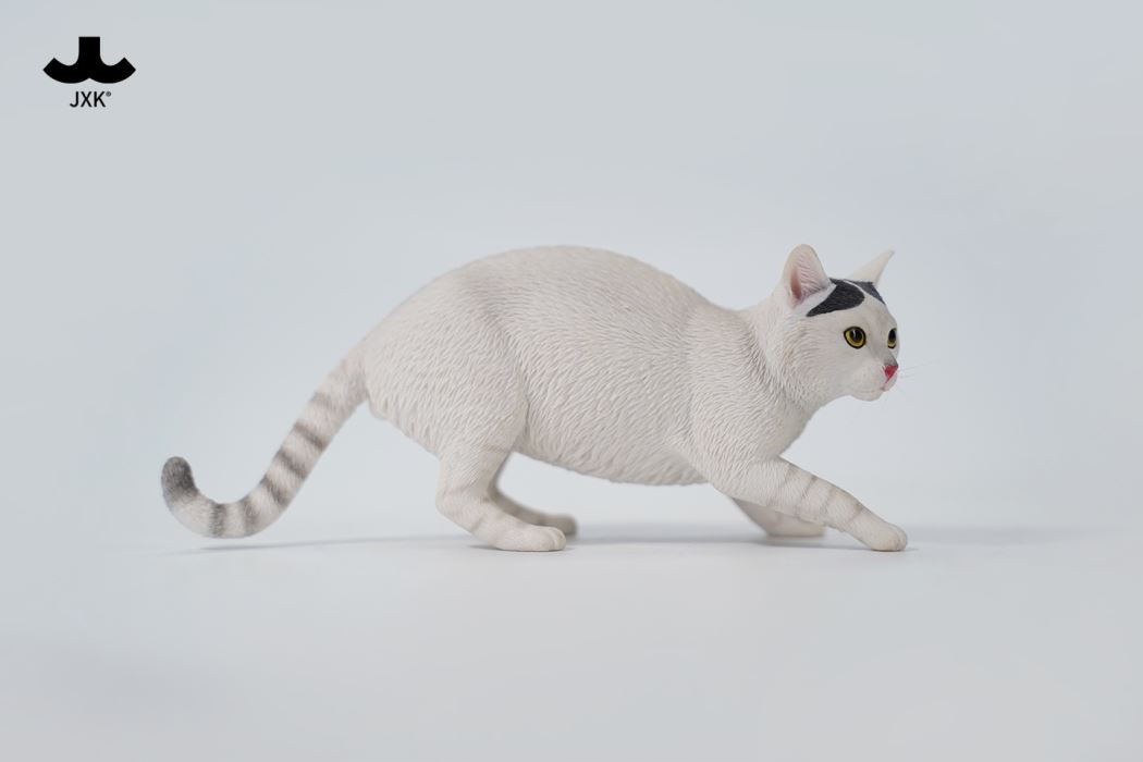 Felis Catus 3.0 1/6