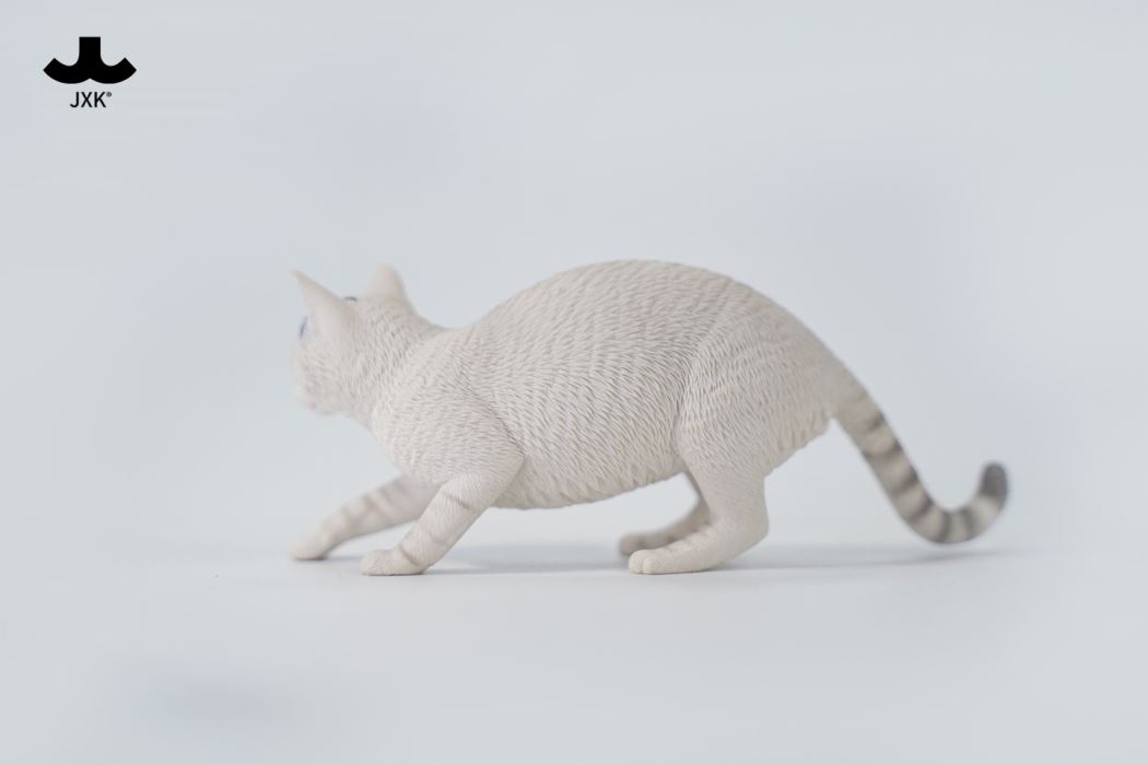 Felis Catus 3.0 1/6