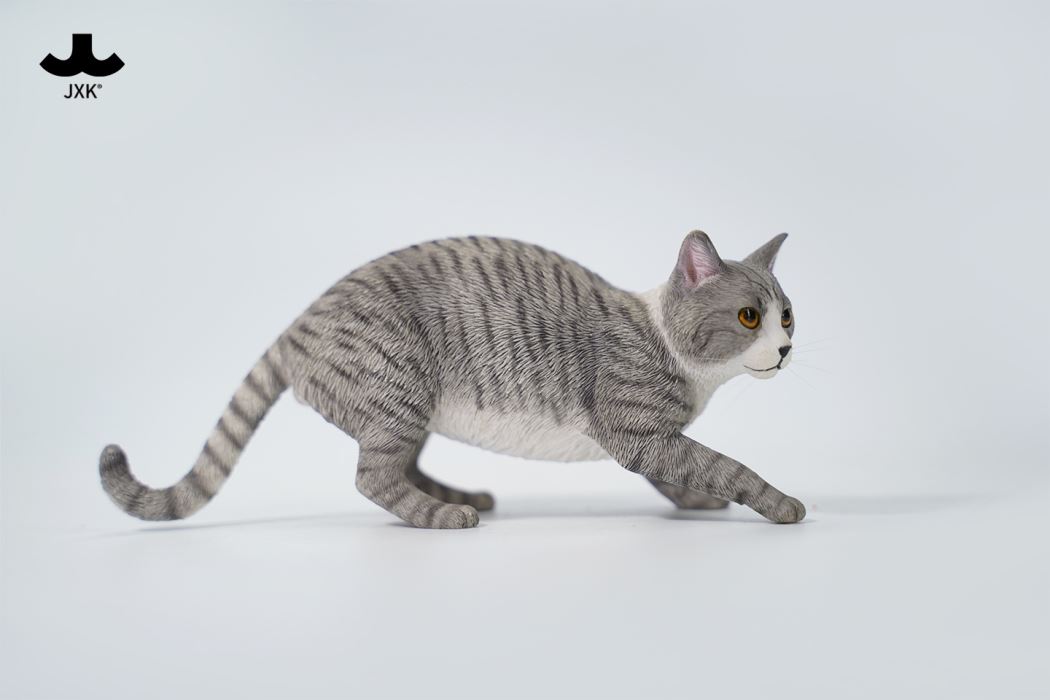 Felis Catus 3.0 1/6