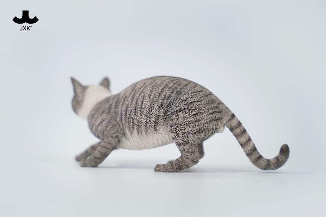Felis Catus 3.0 1/6