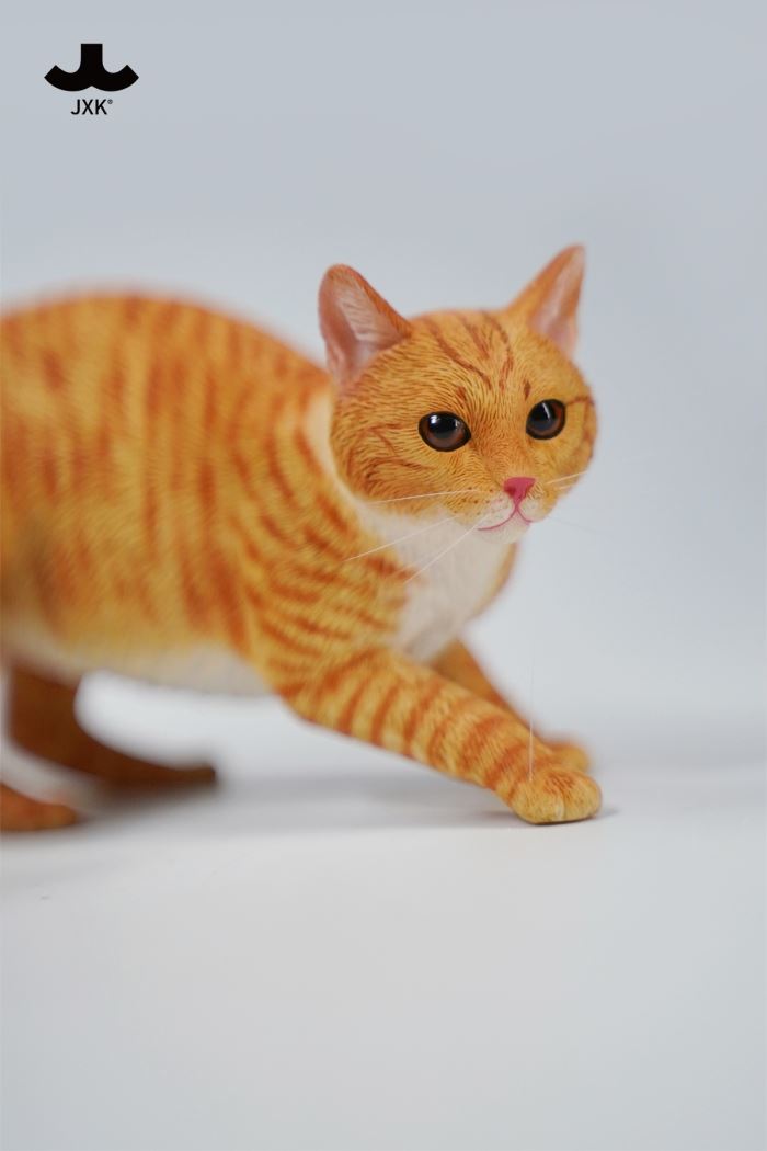Felis Catus 3.0 1/6