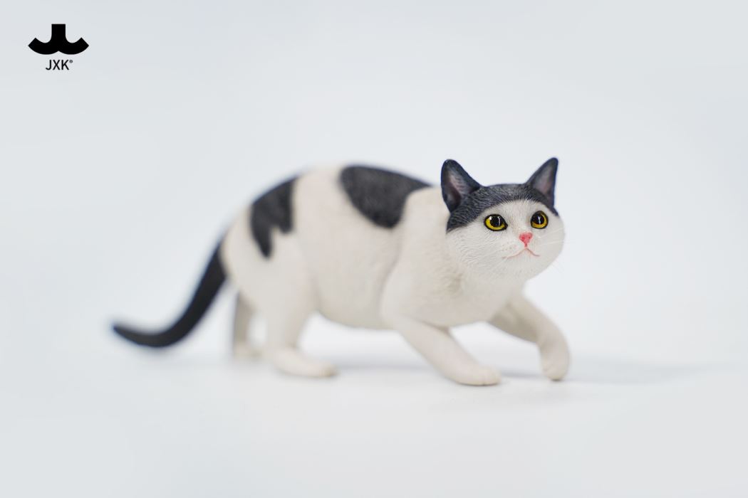 Felis Catus 3.0 1/6