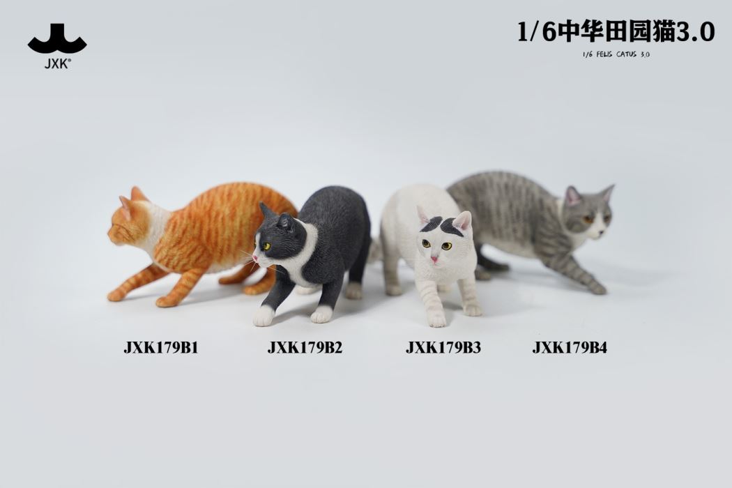Felis Catus 3.0 1/6