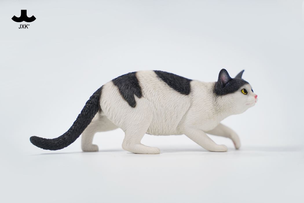 Felis Catus 3.0 1/6