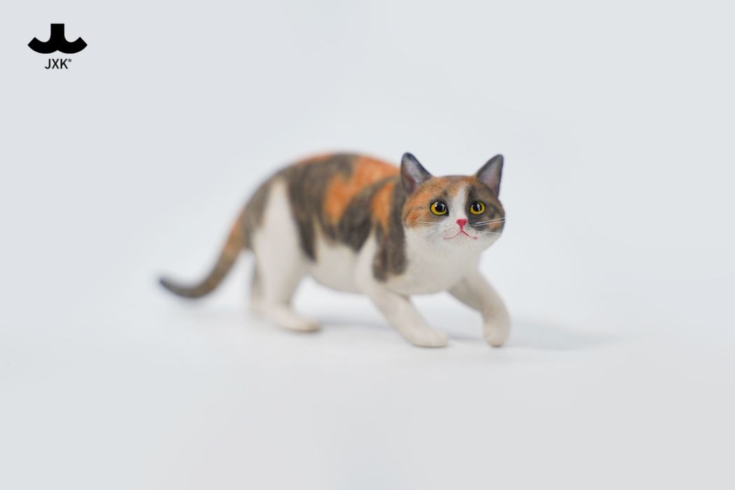 Felis Catus 3.0 1/6