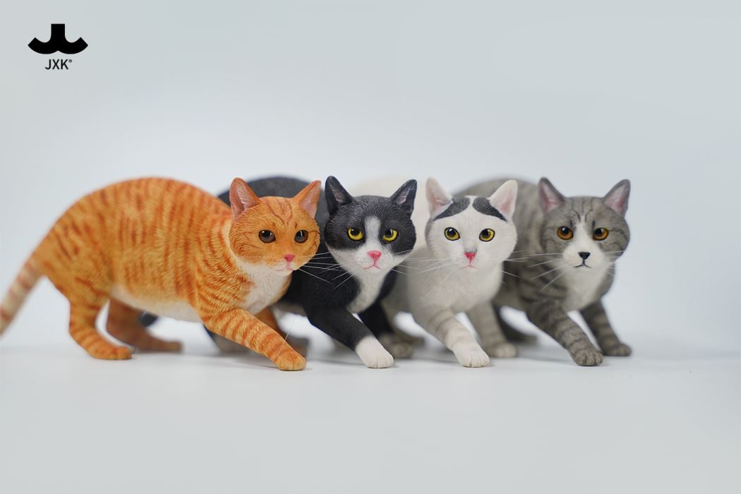 Felis Catus 3.0 1/6