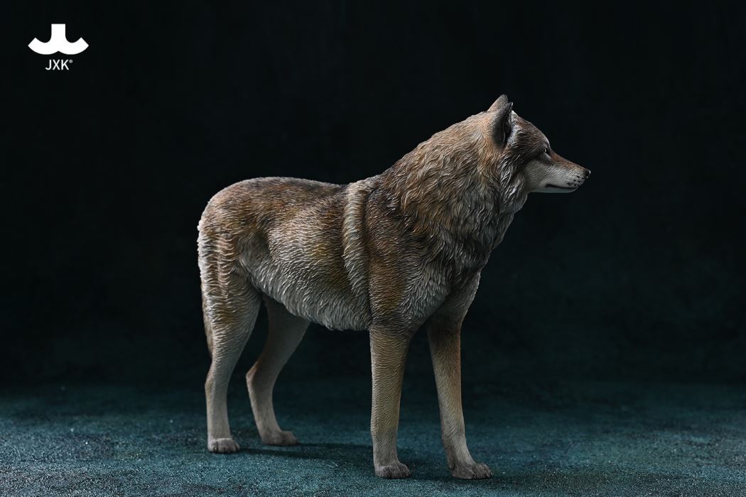 Arctic wolf 1/6