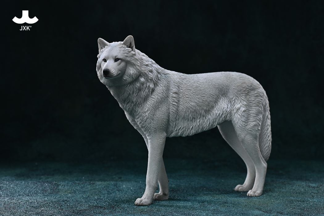 Arctic wolf 1/6