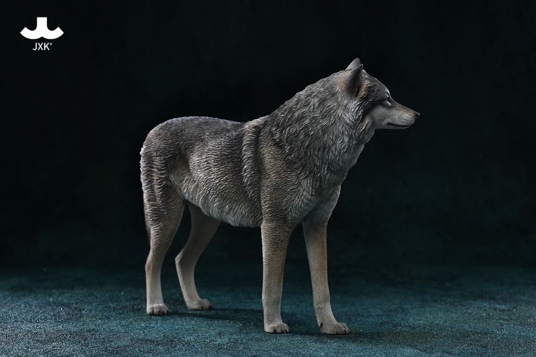Arctic wolf 1/6