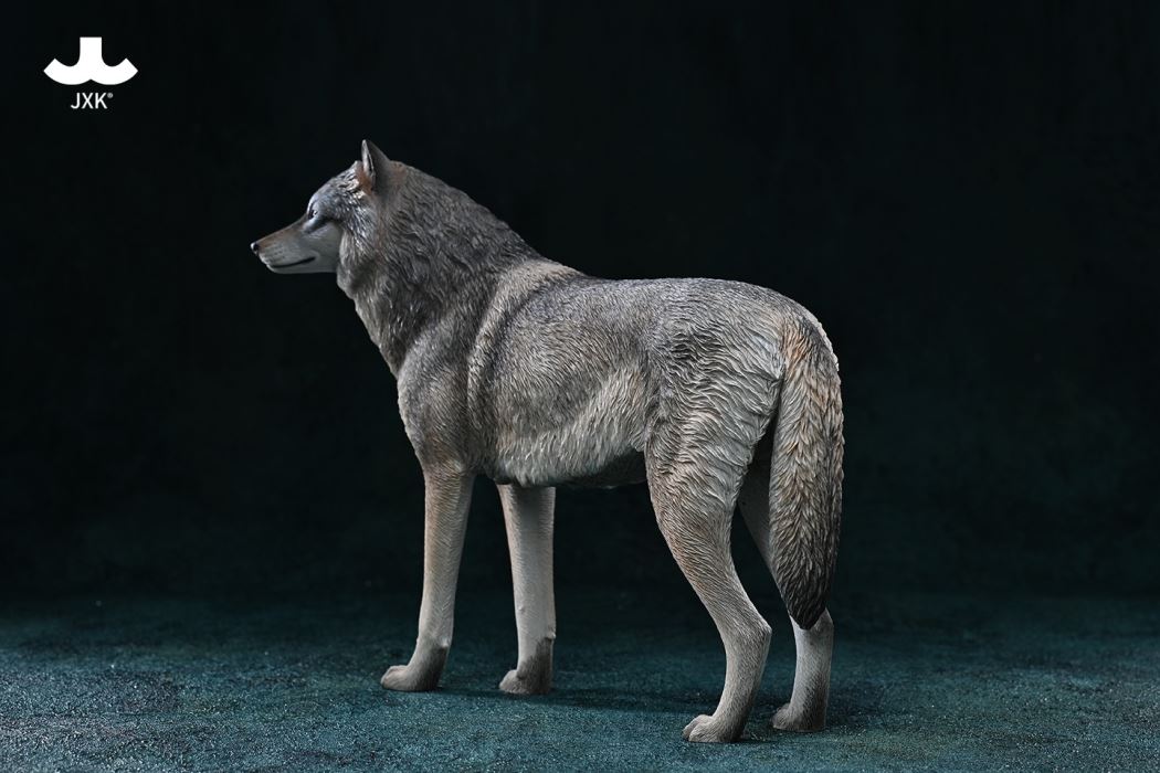 Arctic wolf 1/6
