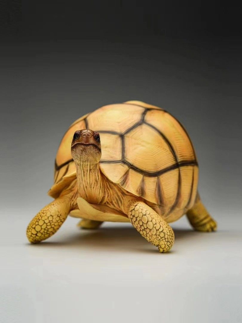 Turtle Series - Angoroka giant tortoise