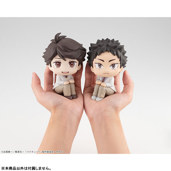 LookUp Haikyuu!! Toru Oikawa & Hajime Iwaizumi