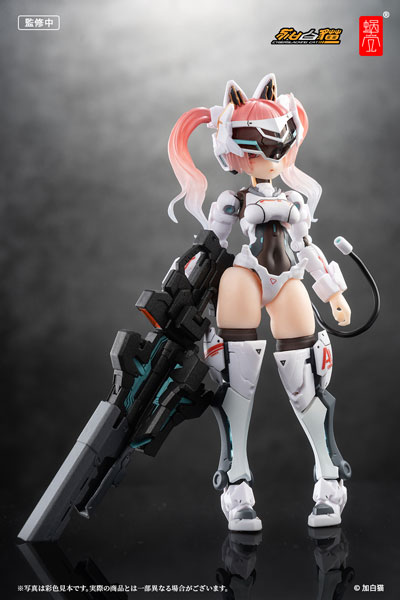 EveD Series AMBRA-02 (Strike Cat) Ambra 1/12