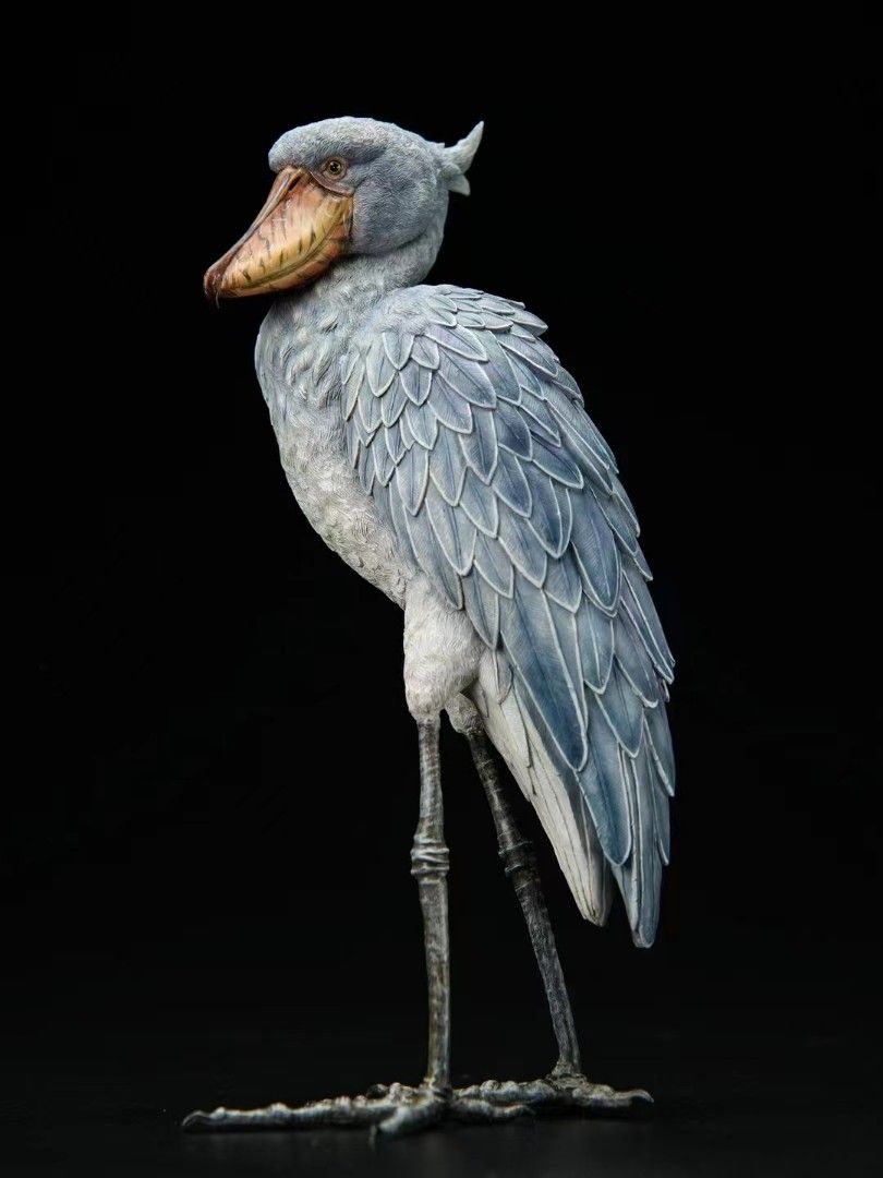 Shoebill Stork